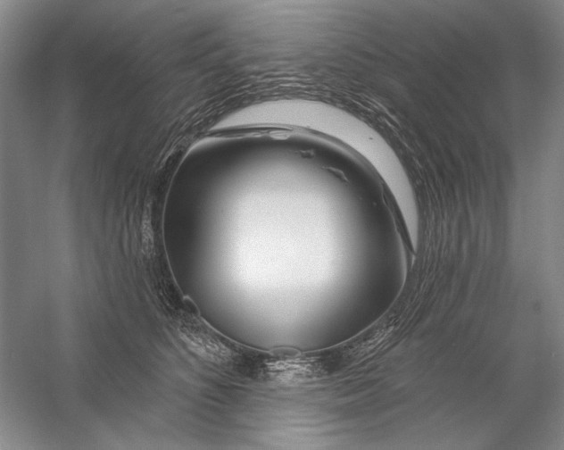 X0000056370516200509232202