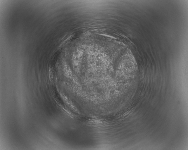 X0000056370523200509232202