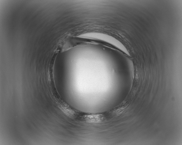 X0000056370524200509232202