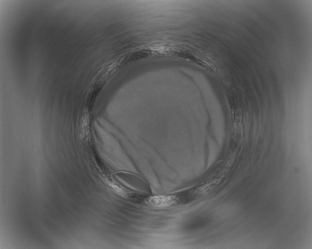 X0000056370526200509232201