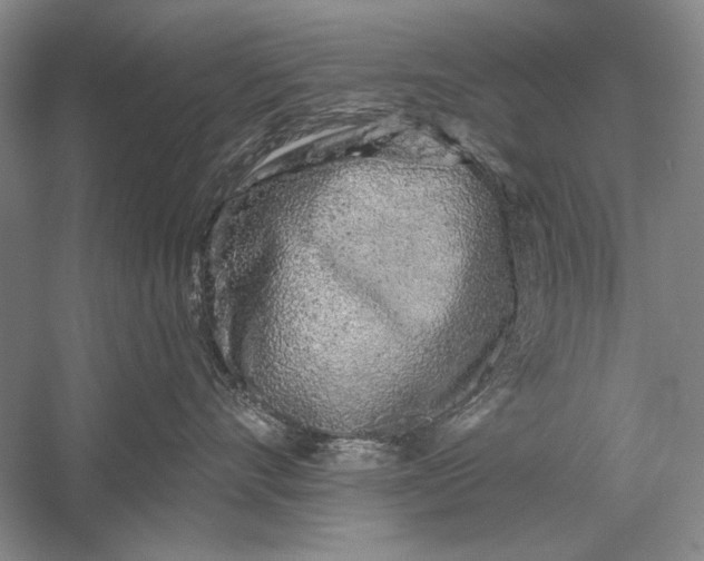 X0000056370528200509232201