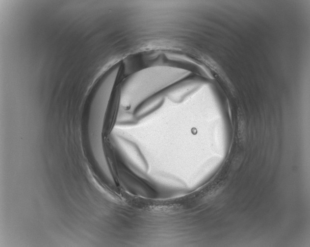 X0000056370530200509232201