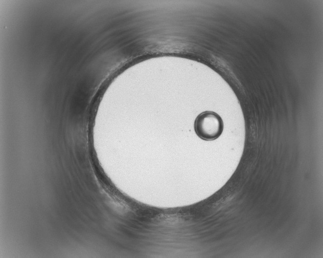 X0000056370534200509232201