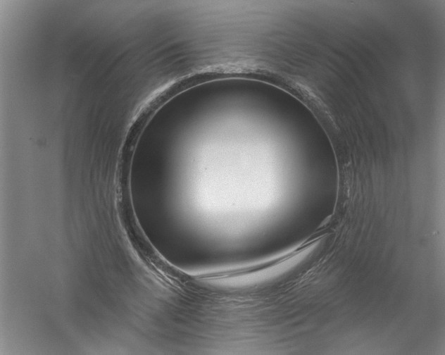X0000056370536200509232201