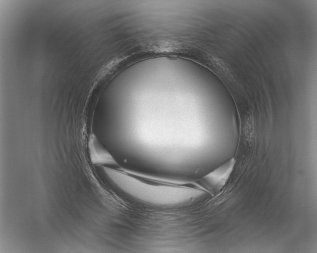 X0000056370540200509232201