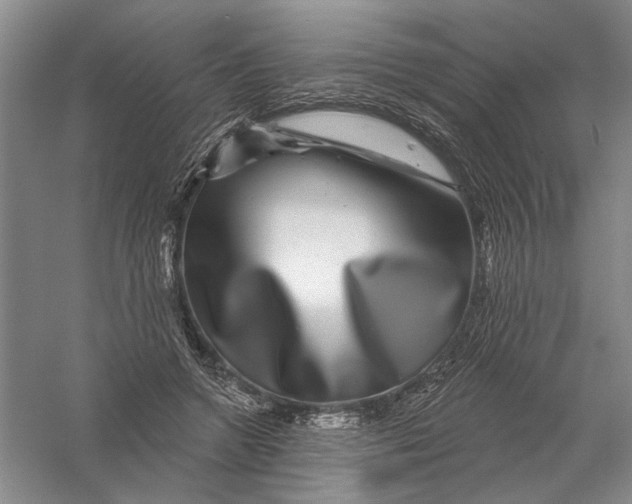 X0000056370546200509232201