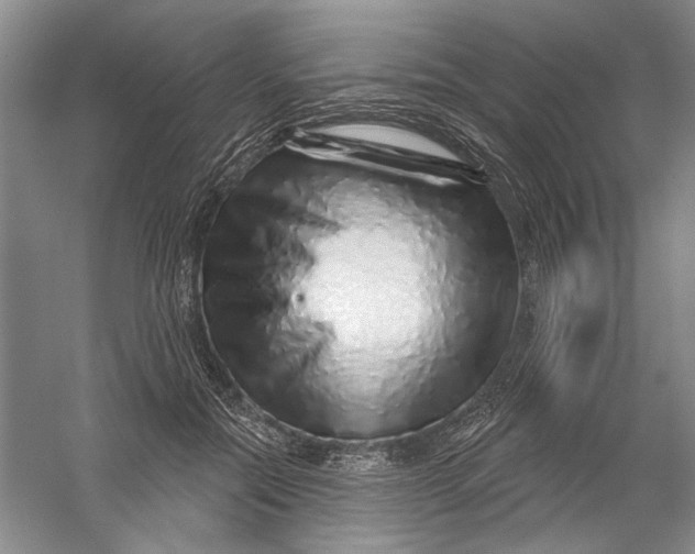 X0000056370554200509232201