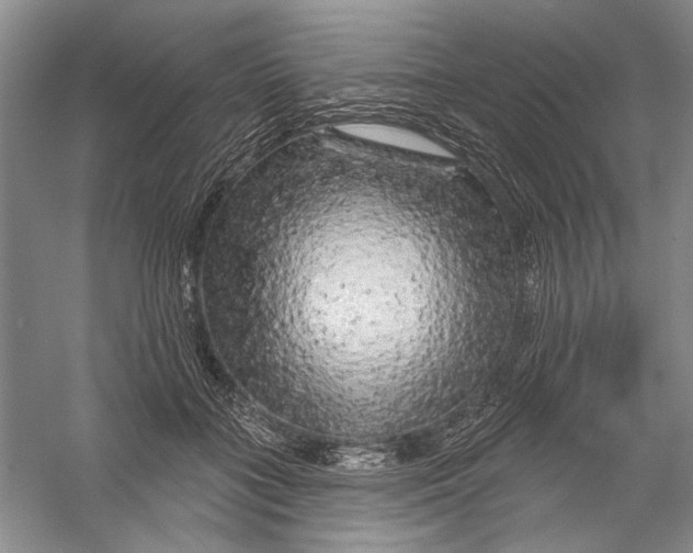 X0000056370555200509232201