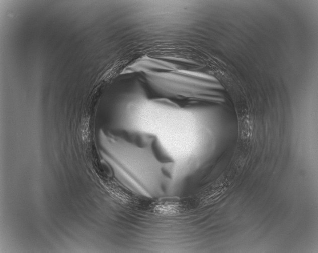 X0000056370560200509232201