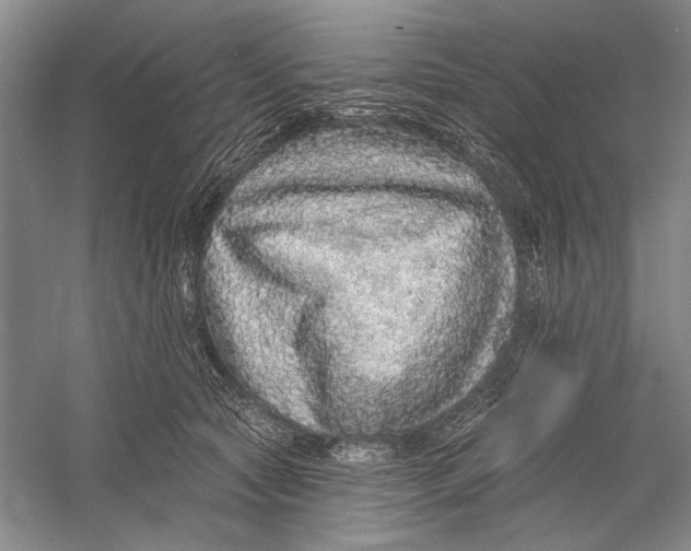 X0000056370561200509232201