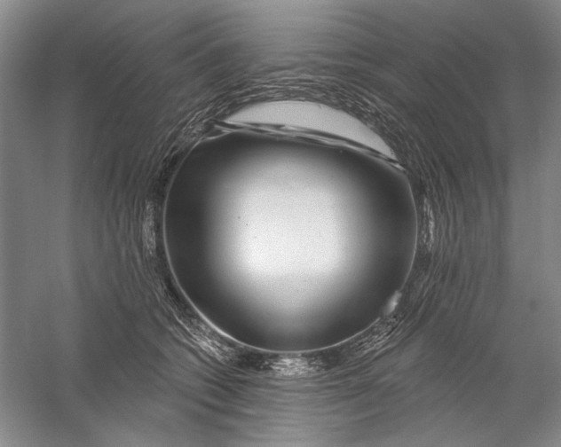 X0000056370562200509232201