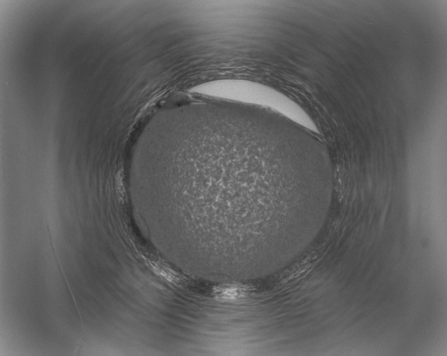 X0000056370564200509232201
