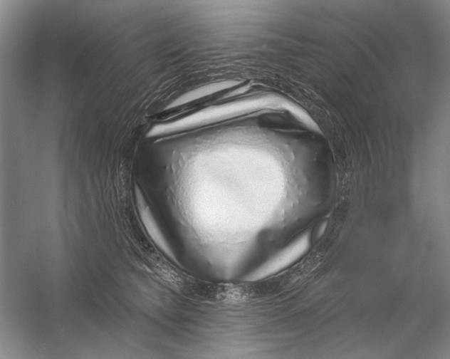 X0000056370565200509232201