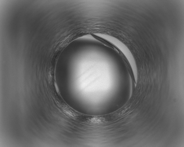 X0000056370566200509232201
