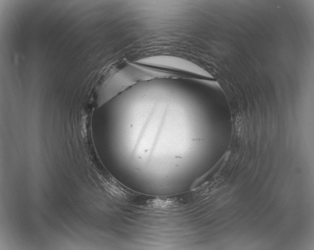 X0000056370570200509232201