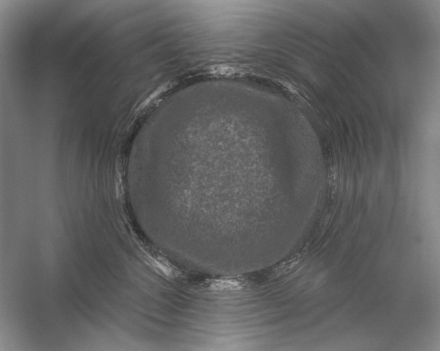 X0000056370572200509232201