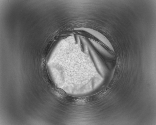 X0000056370574200509232201