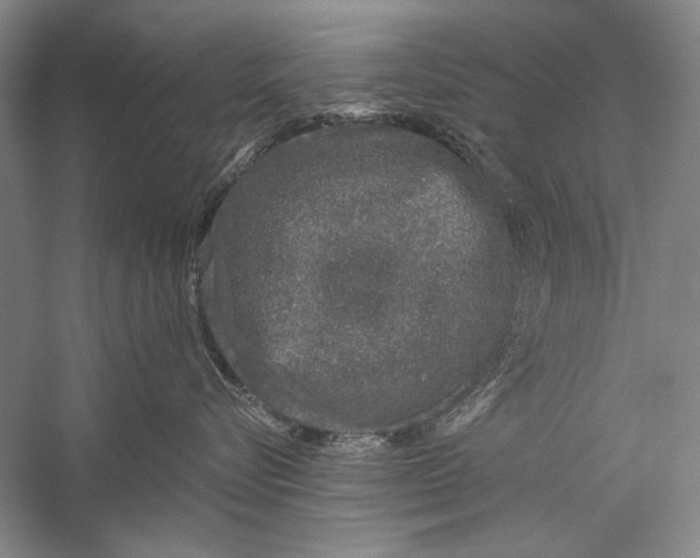 X0000056370576200509232201