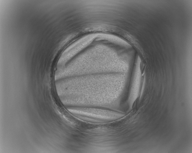 X0000056370578200509232201