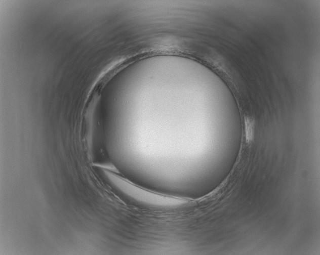 X0000056370579200509232201