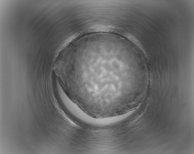 X0000056370581200509232201