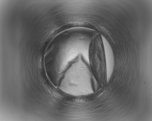 X0000056370596200509232200