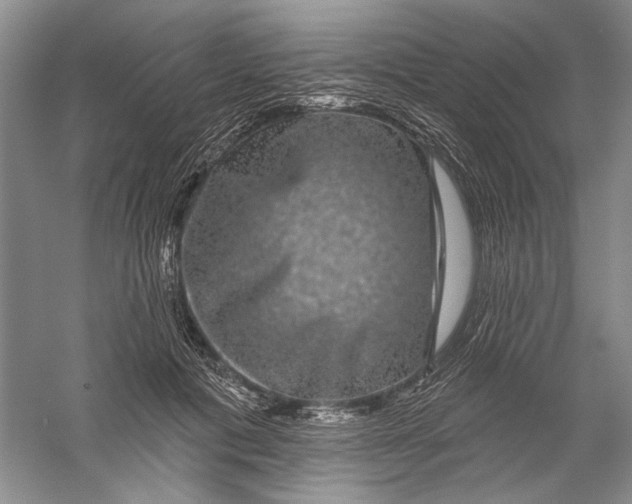 X0000056370601200509232200