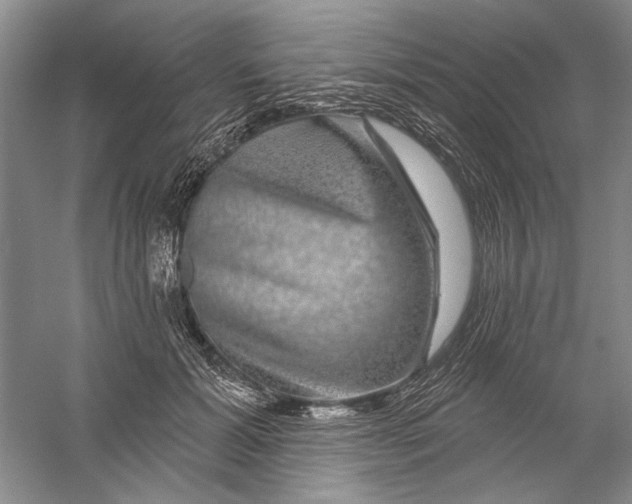 X0000056370605200509232200