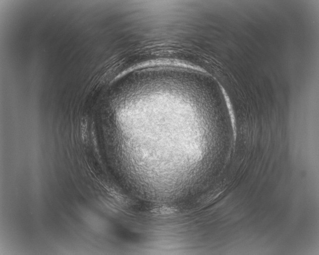 X0000056370610200509232200