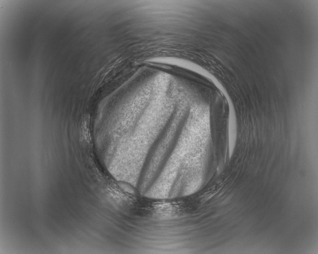 X0000056370616200509232200