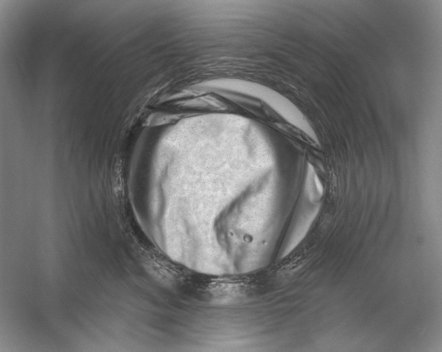 X0000056370620200509232200