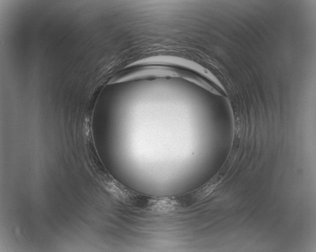 X0000056370621200509232200