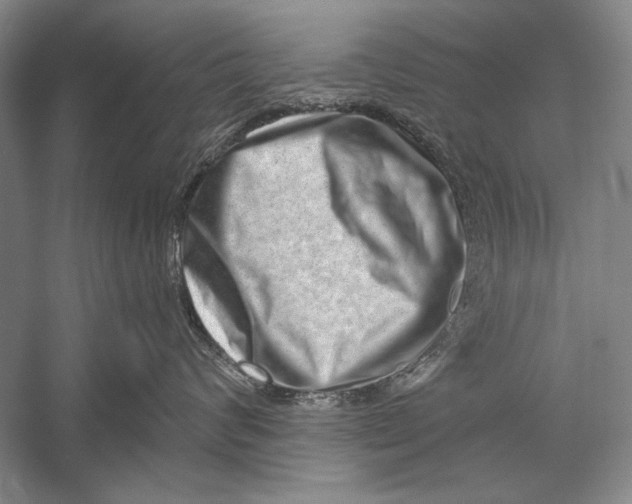 X0000056370624200509232200