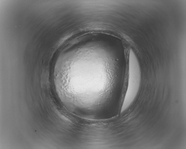 X0000056370627200509232159