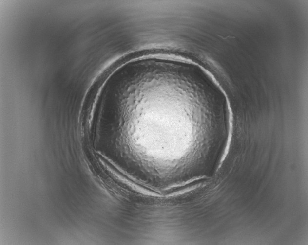 X0000056370628200509232159