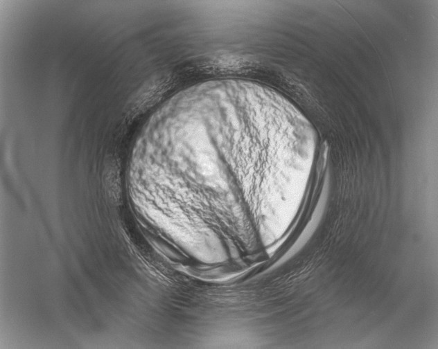 X0000056370642200509232159