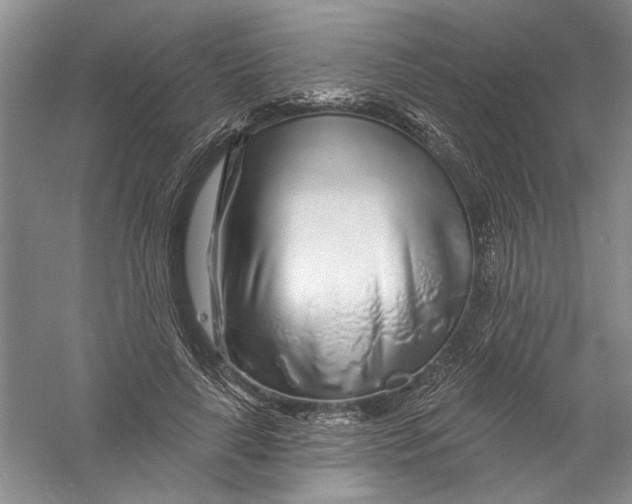 X0000056370643200509232159