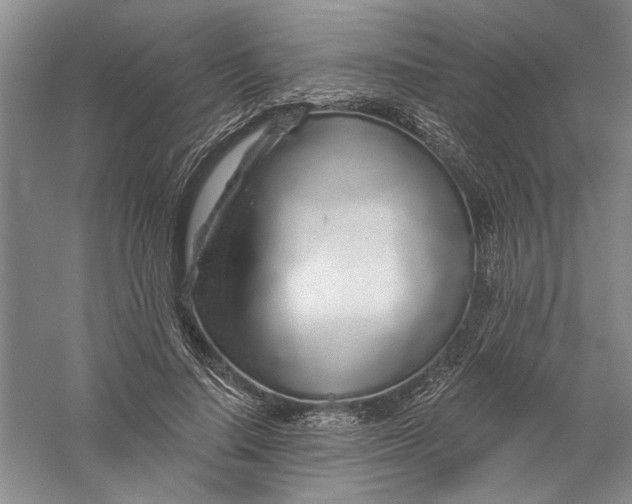 X0000056370644200509232159
