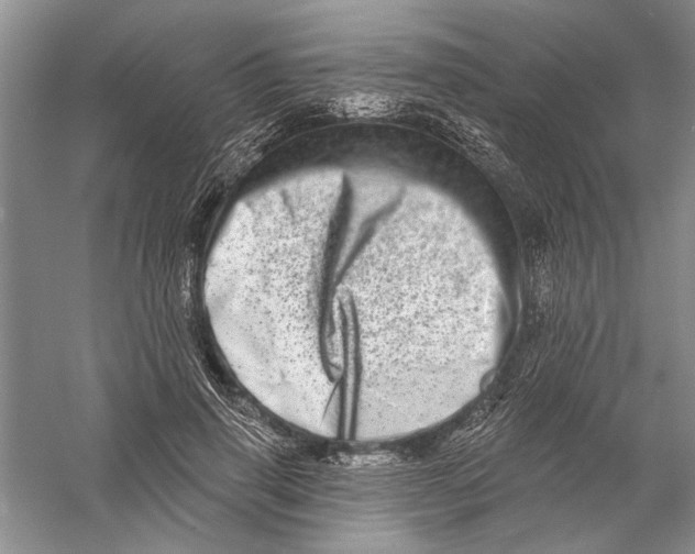 X0000056370645200509232159