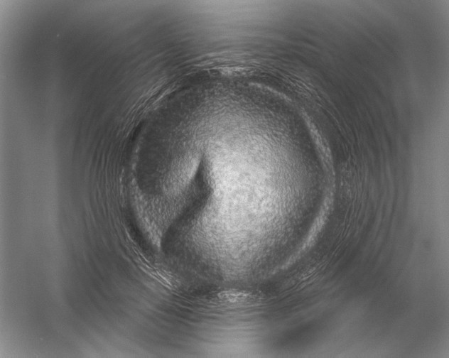 X0000056370650200509232159