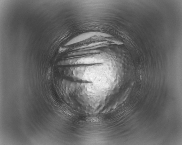 X0000056370652200509232159