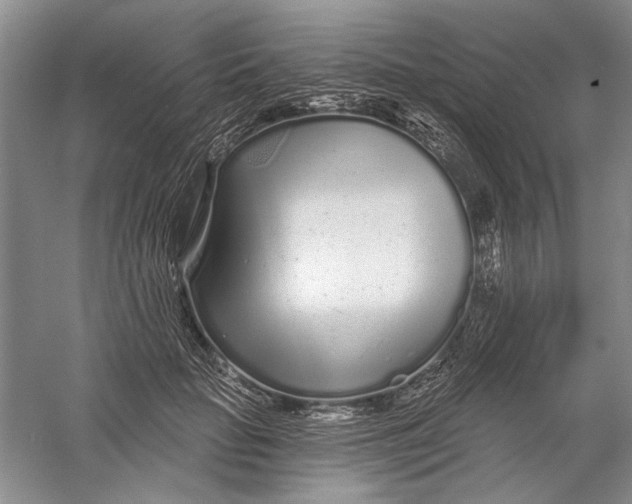 X0000056370653200509232159