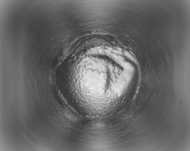 X0000056370658200509232200