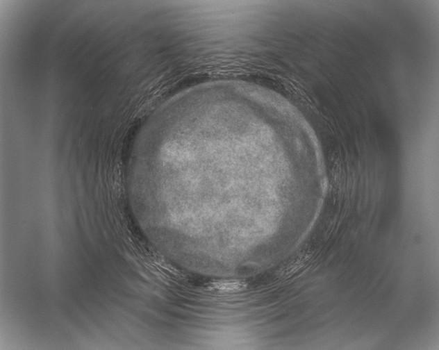 X0000056370659200509232200