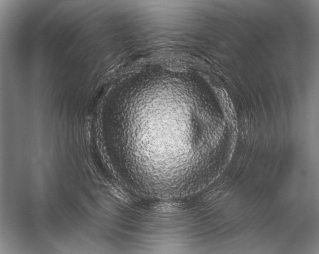 X0000056370664200509232200