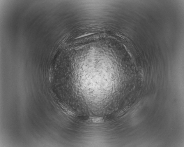 X0000056370665200509232200