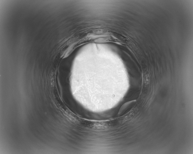 X0000056370666200509232200