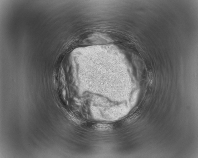 X0000056370670200509232200