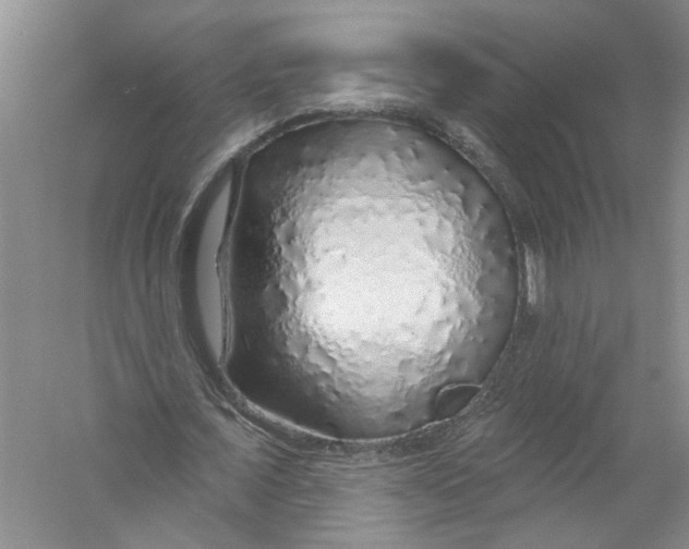 X0000056370675200509232159
