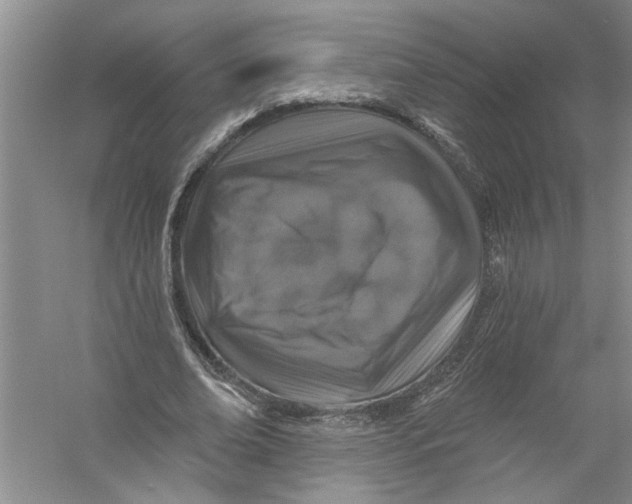 X0000056370678200509232159
